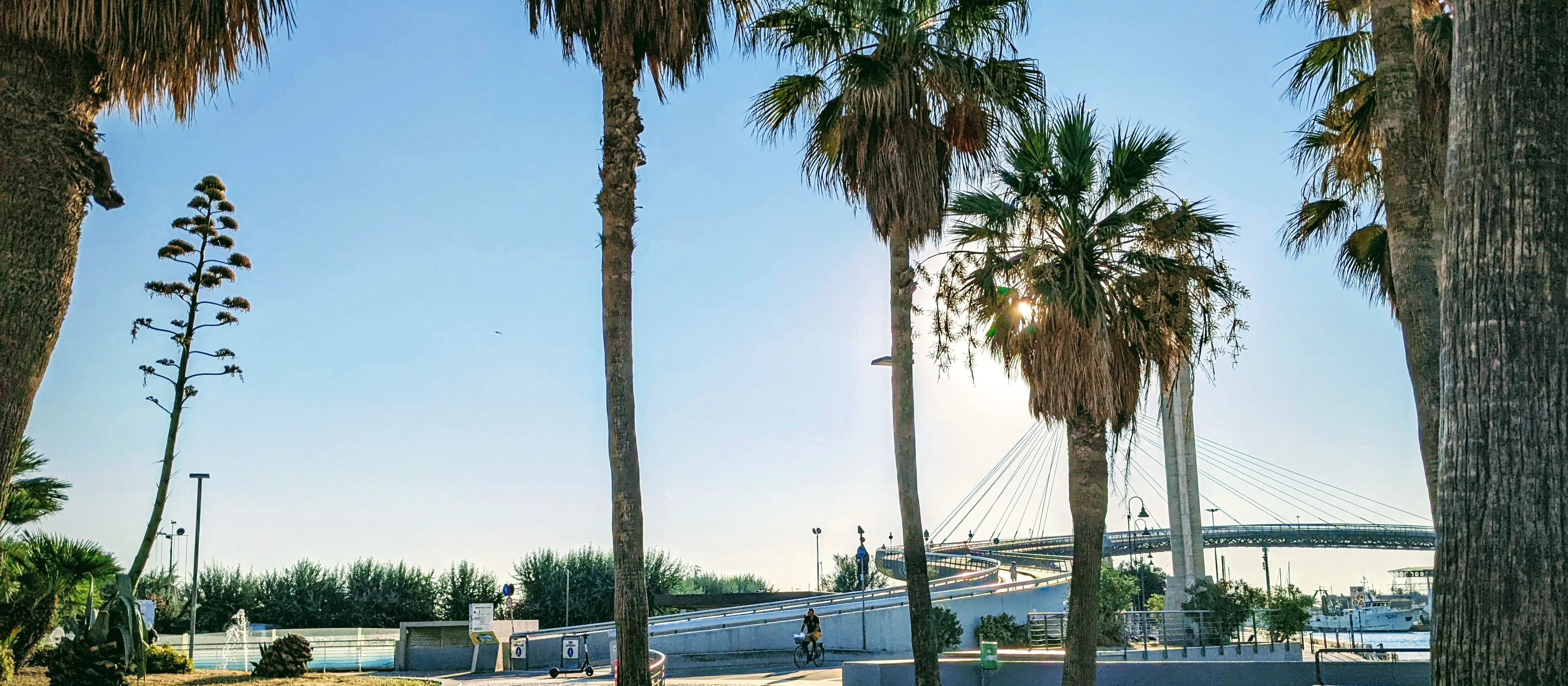 The Ponte del Mare crossing the harbour in Pescara, with palm trees in the foreground